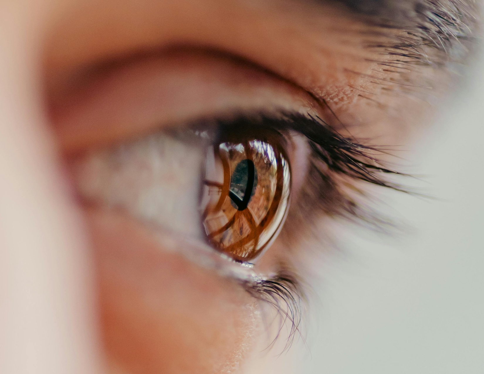 Image of female brown eye and lashes