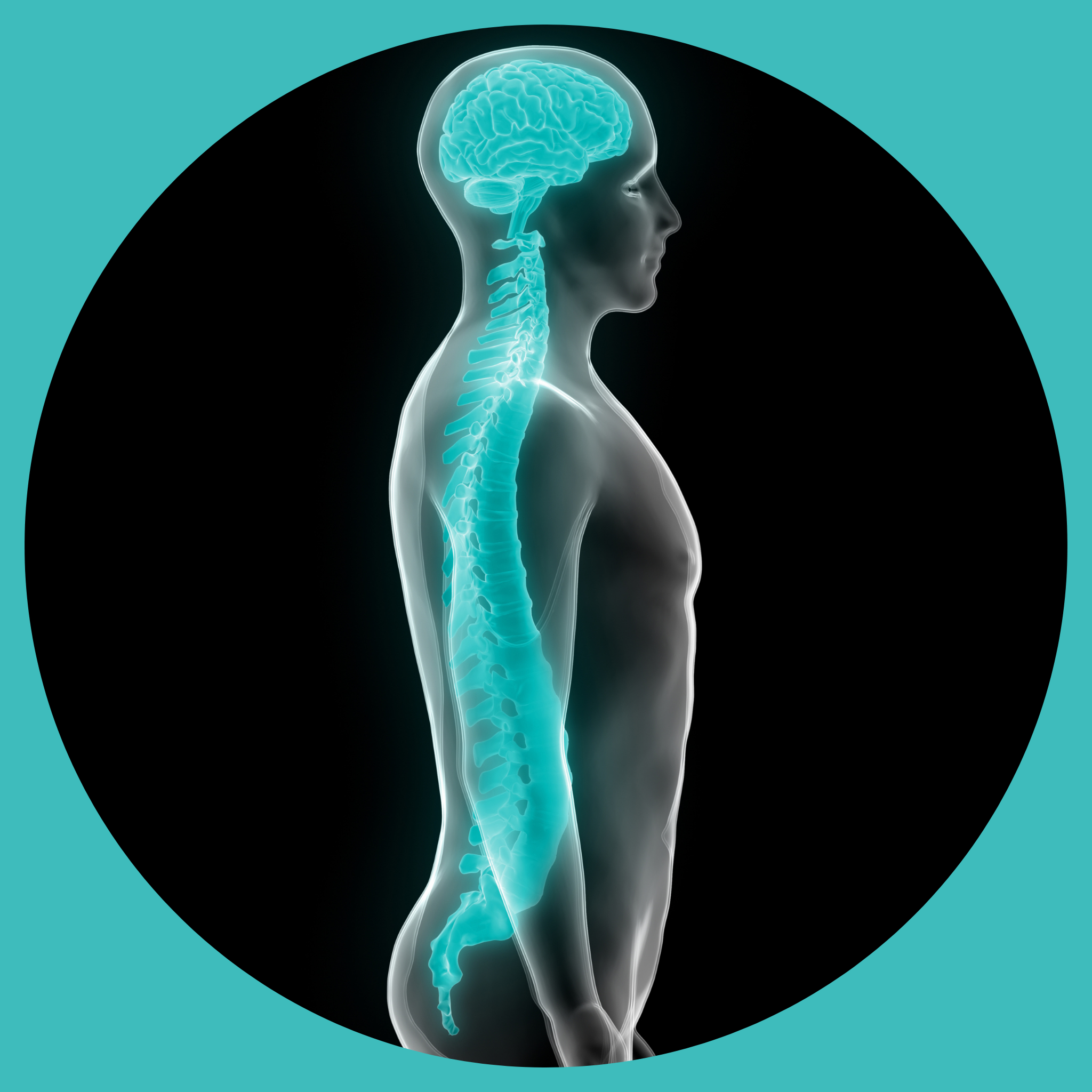 Green and Black image of male body with watermarked spine and brain
