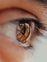 Image of female brown eye and lashes